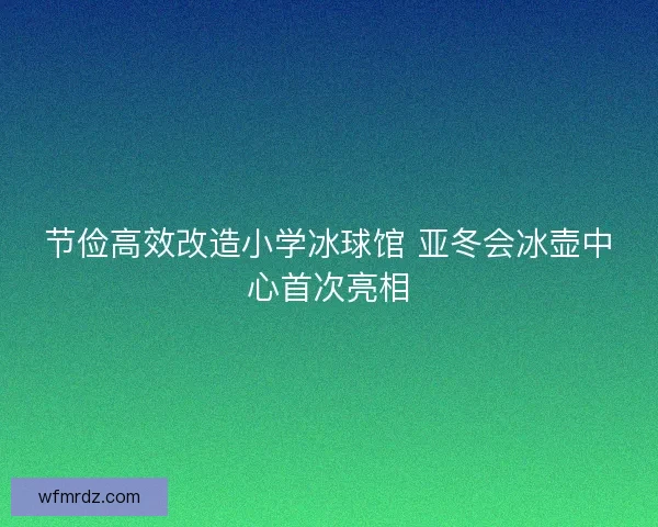 节俭高效改造小学冰球馆 亚冬会冰壶中心首次亮相