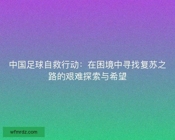 中国足球自救行动：在困境中寻找复苏之路的艰难探索与希望
